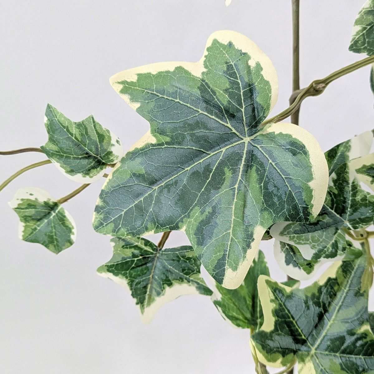 アイビー 全2色 H77cm 単品花材