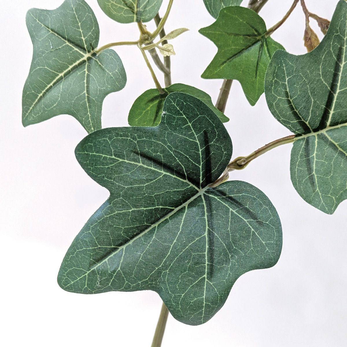 アイビー 全2色 H77cm 単品花材