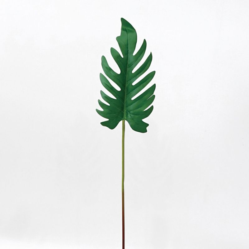 クッカバラ 全1色 H60cm 単品花材