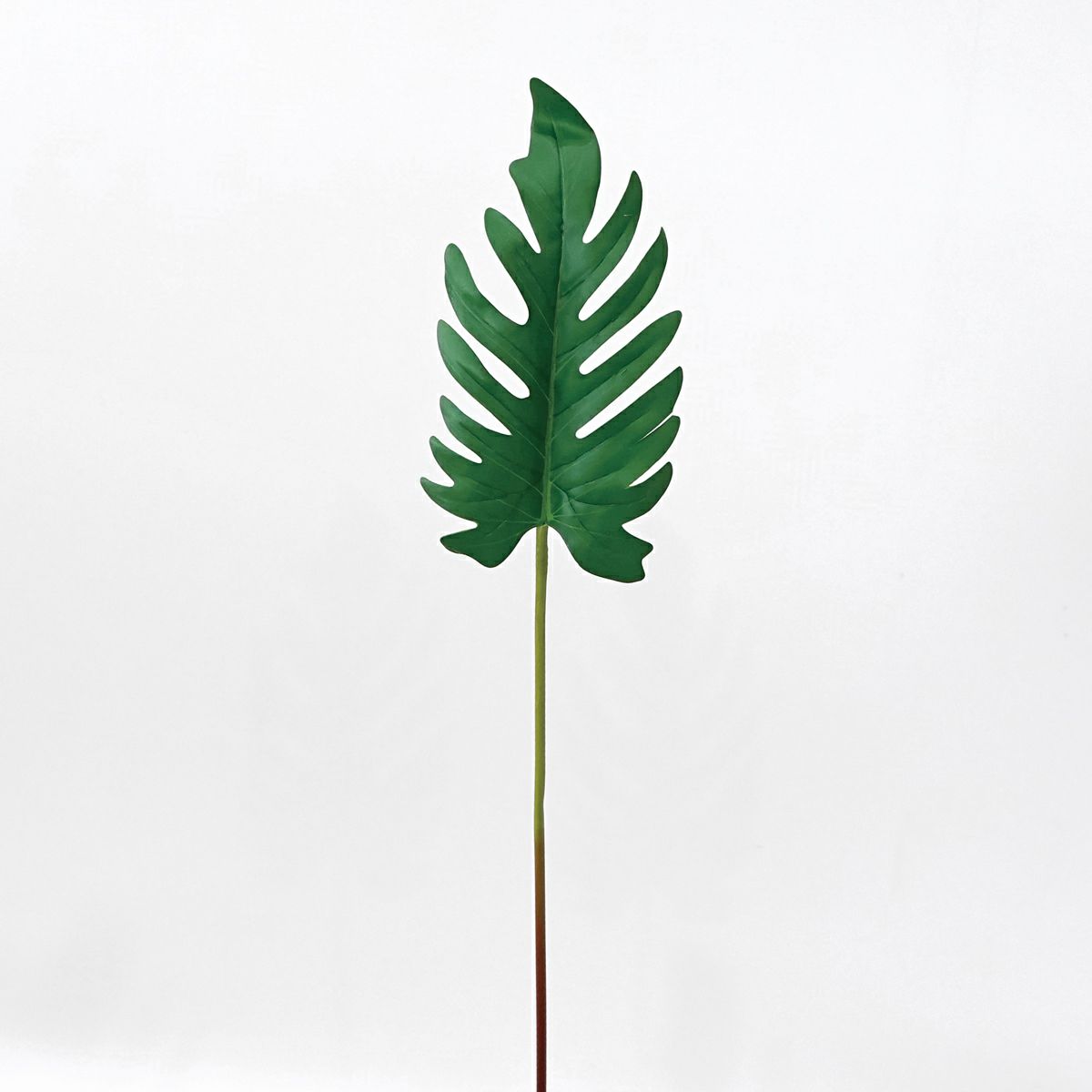 クッカバラ 全1色 H60cm 単品花材