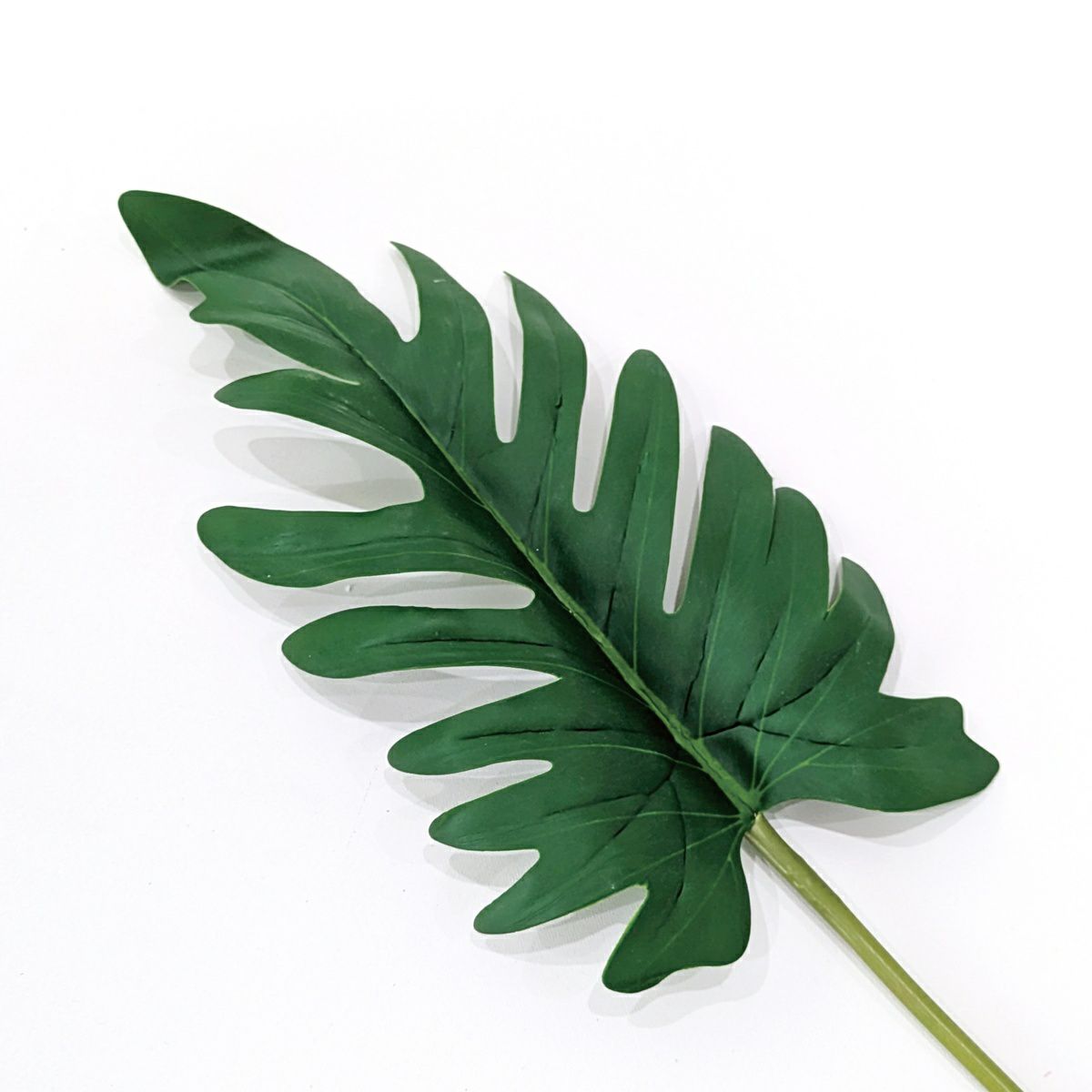 クッカバラ 全1色 H60cm 単品花材