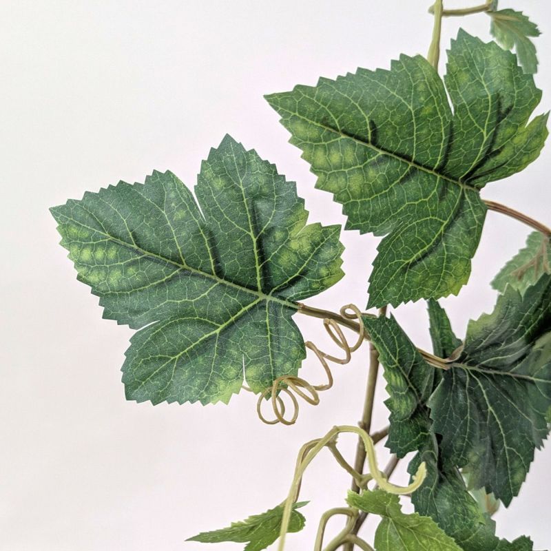 グレープリーフ 全1色 H80cm 単品花材