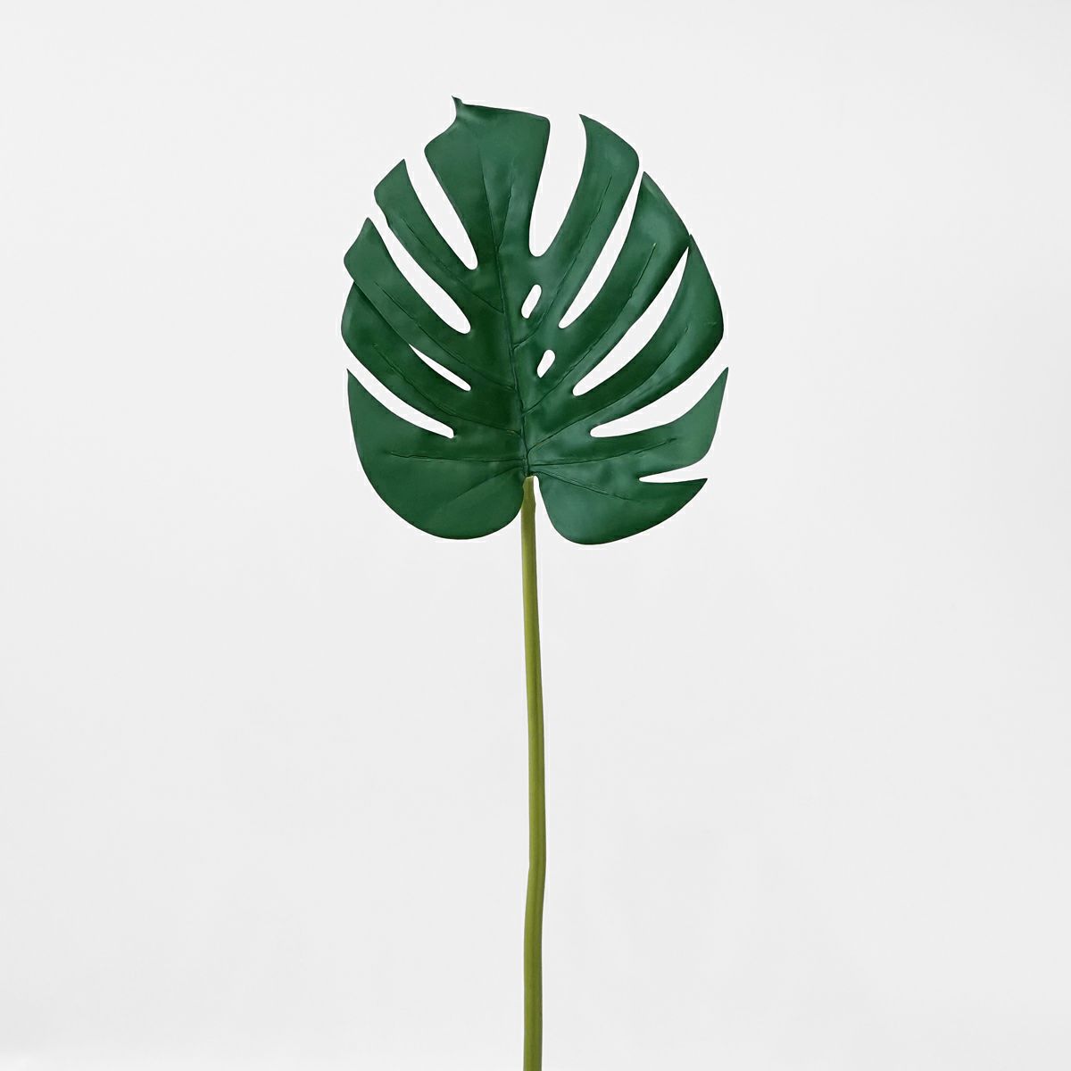 モンステラ 全1色 H76cm 単品花材