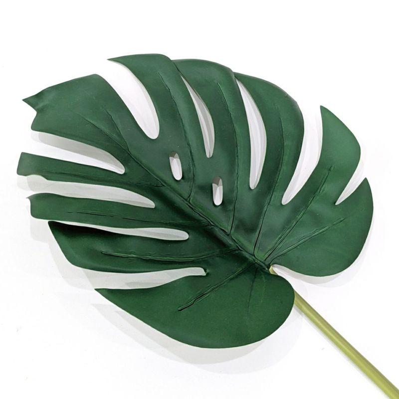 モンステラ 全1色 H76cm 単品花材