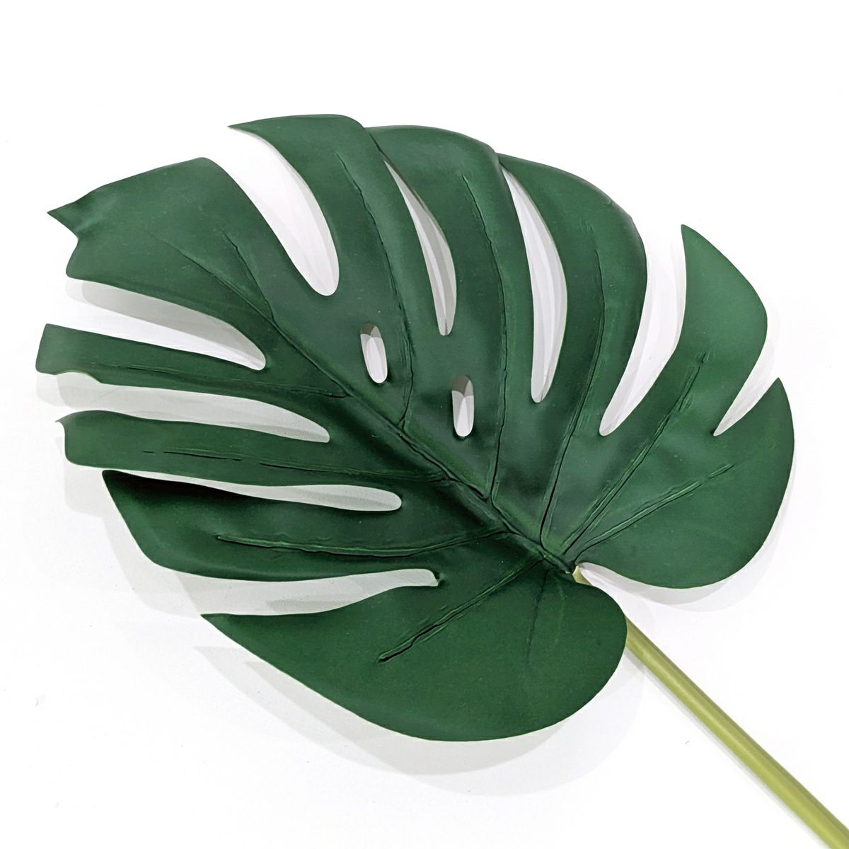 モンステラ 全1色 H76cm 単品花材