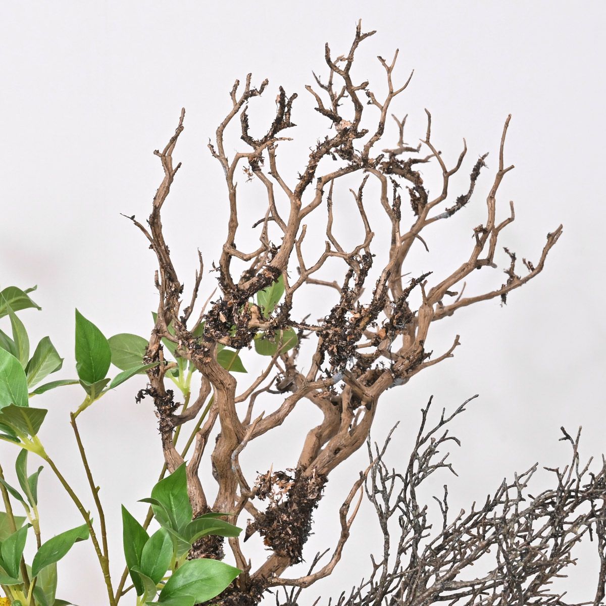 ご祈祷 信楽焼 アレンジメント [09]