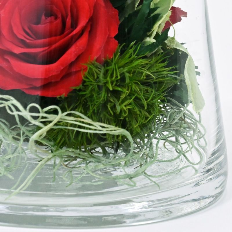 ローズ ミエル[162] ボトルフラワー