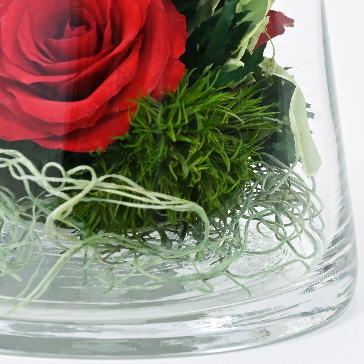 ローズ ミエル[162] ボトルフラワー