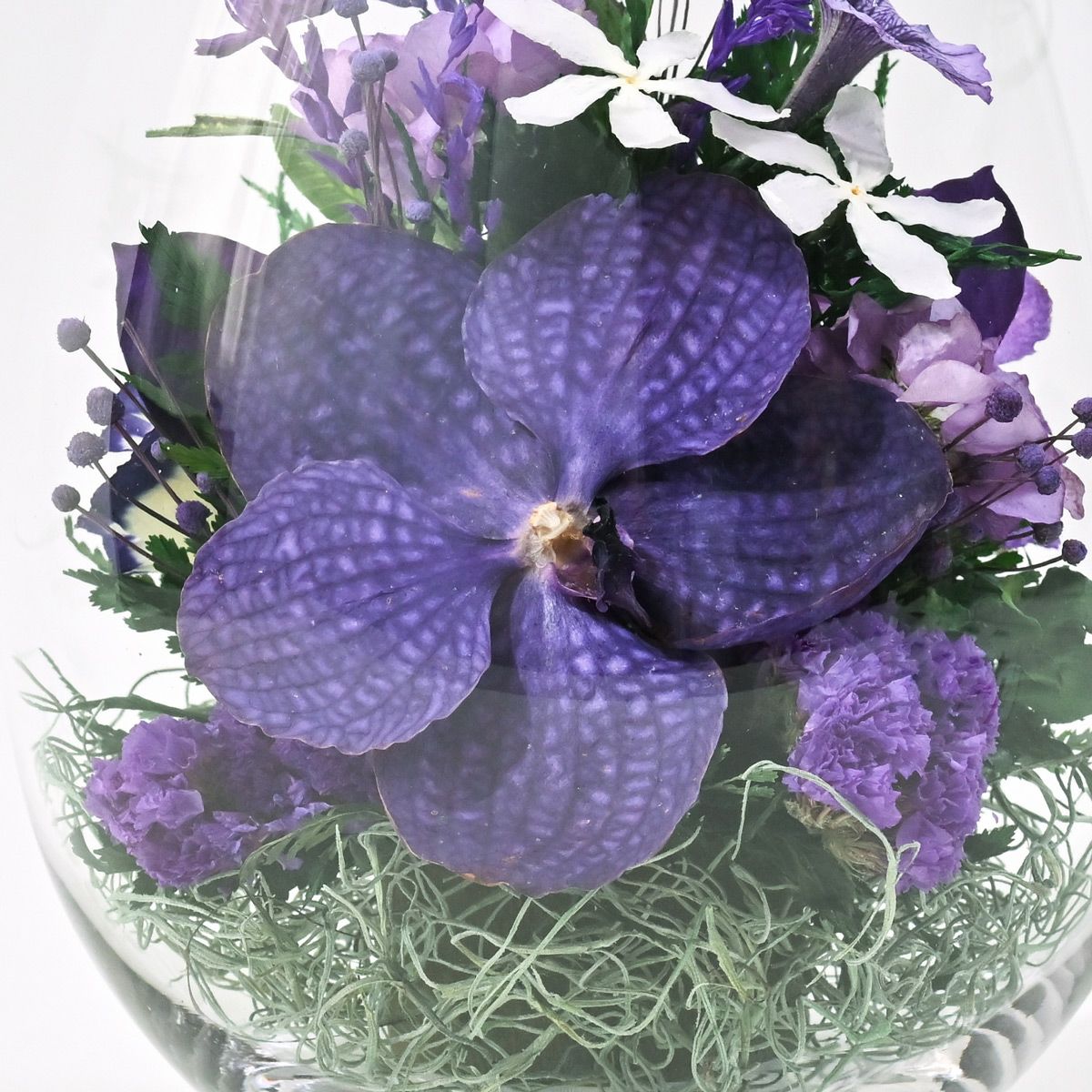 バンダオーキッド ミエル[164] ボトルフラワー