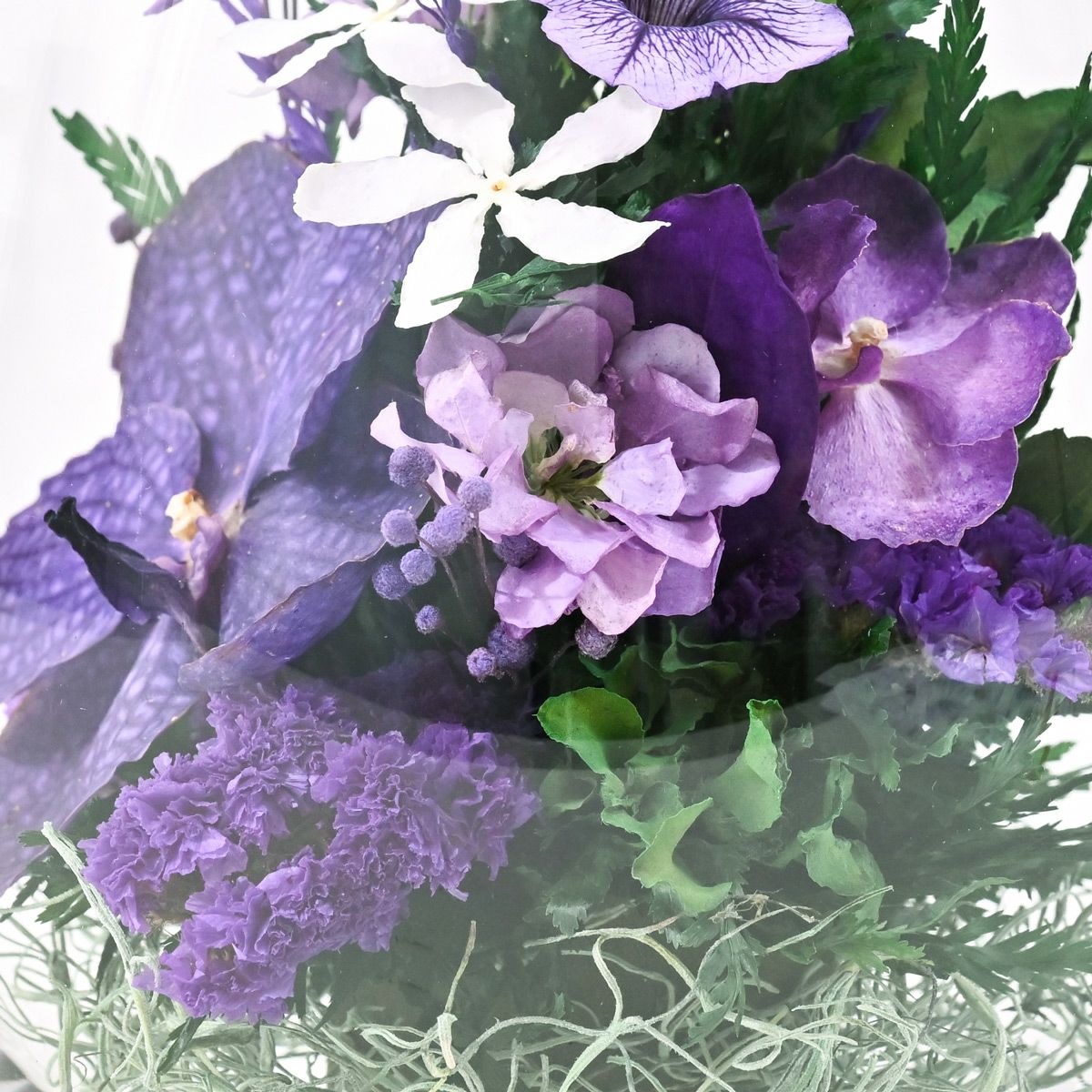 バンダオーキッド ミエル[164] ボトルフラワー