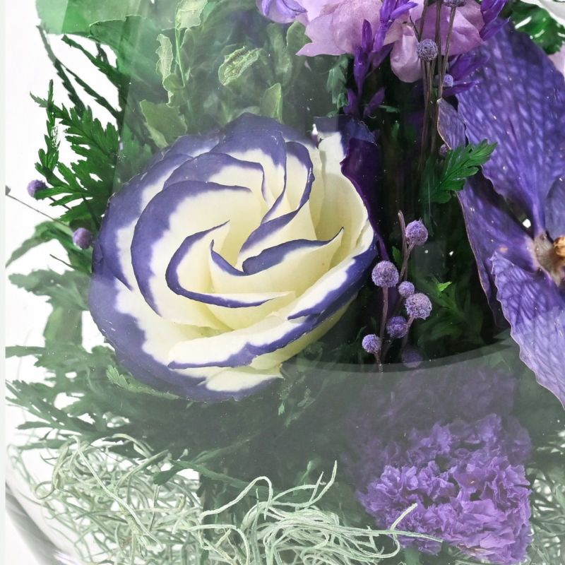 バンダオーキッド ミエル[164] ボトルフラワー