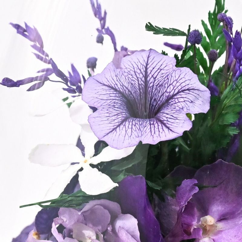 バンダオーキッド ミエル[164] ボトルフラワー