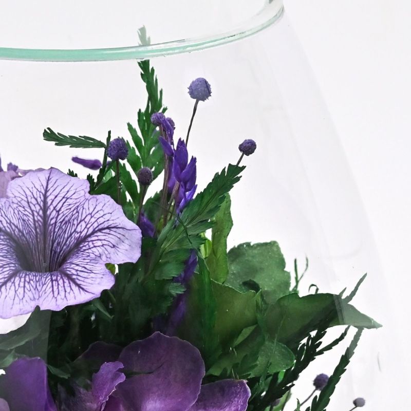 バンダオーキッド ミエル[164] ボトルフラワー