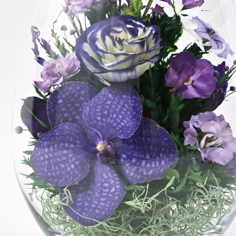 バンダオーキッド ミエル[165] ボトルフラワー