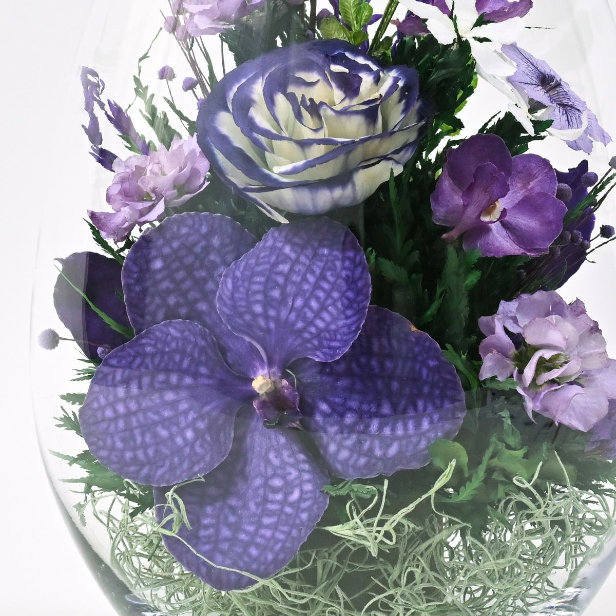 バンダオーキッド ミエル[165] ボトルフラワー