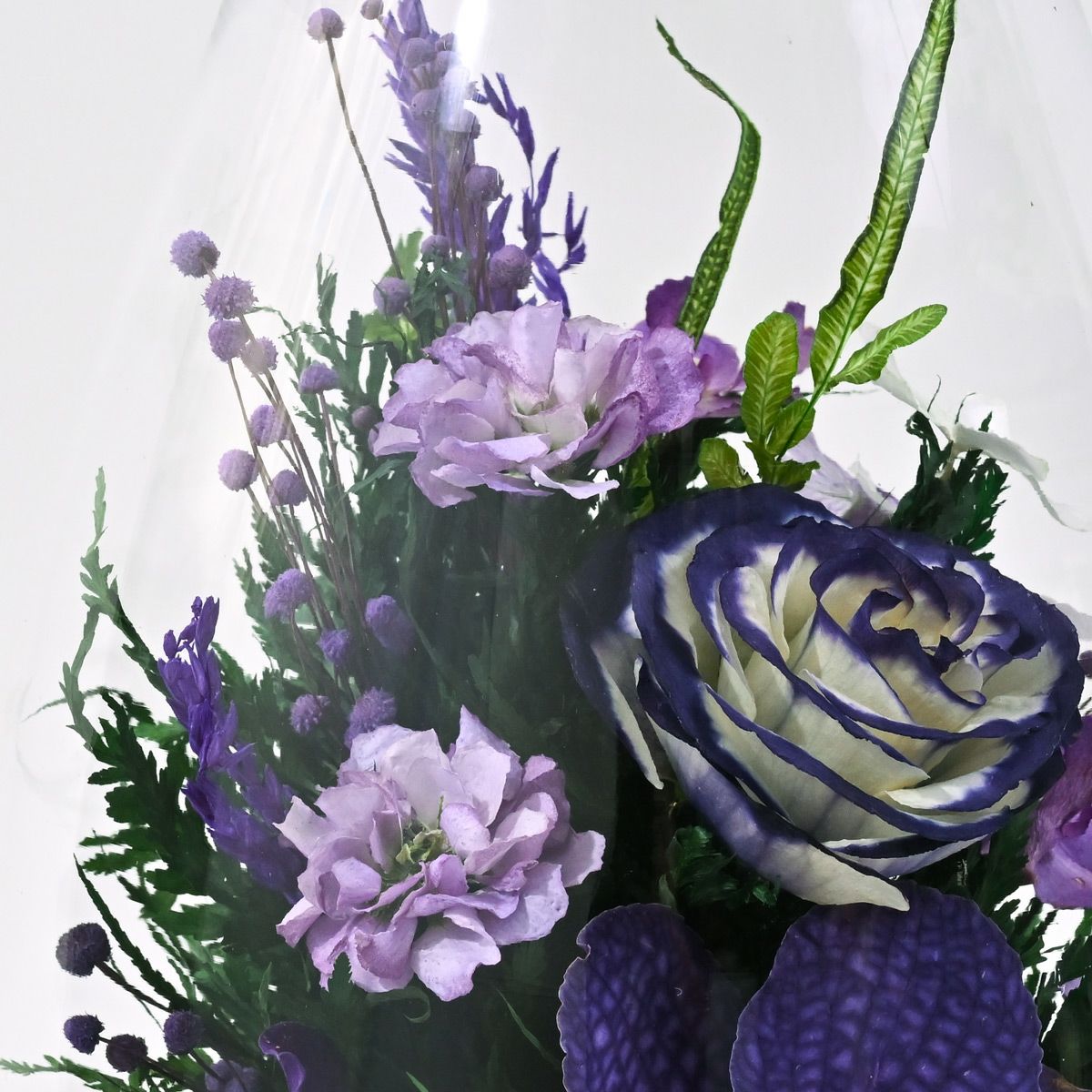 バンダオーキッド ミエル[165] ボトルフラワー