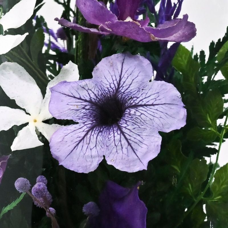 バンダオーキッド ミエル[165] ボトルフラワー