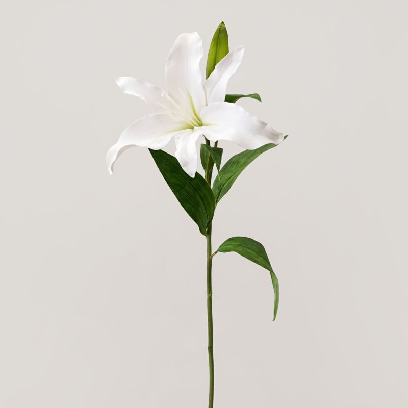 カサブランカリリー 全1色 H68cm 単品花材
