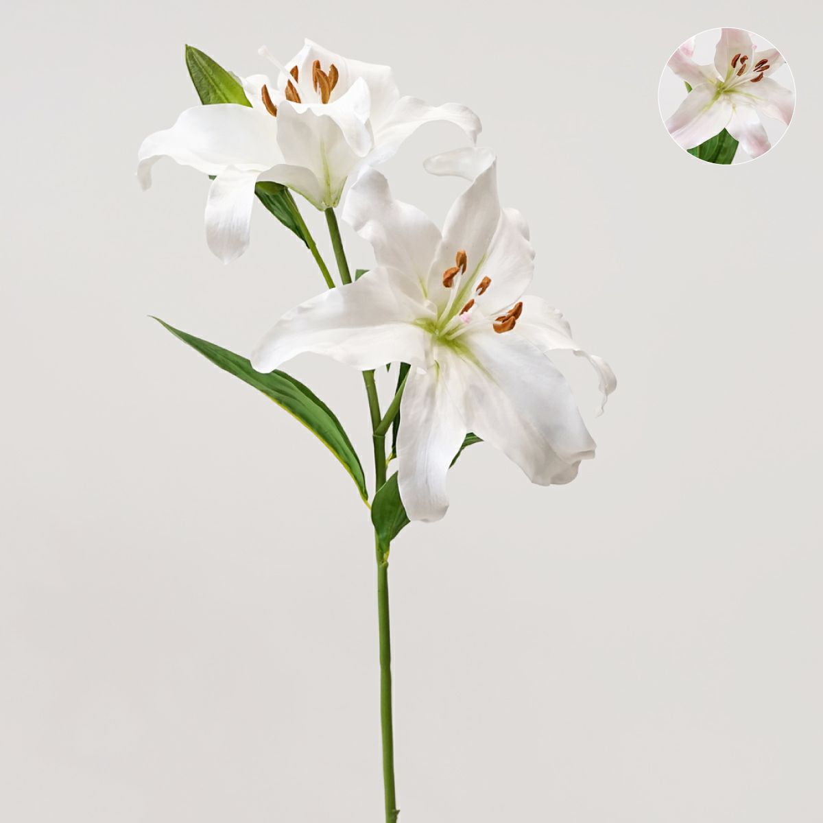 リリールブラン 全2色 H75cm 単品花材