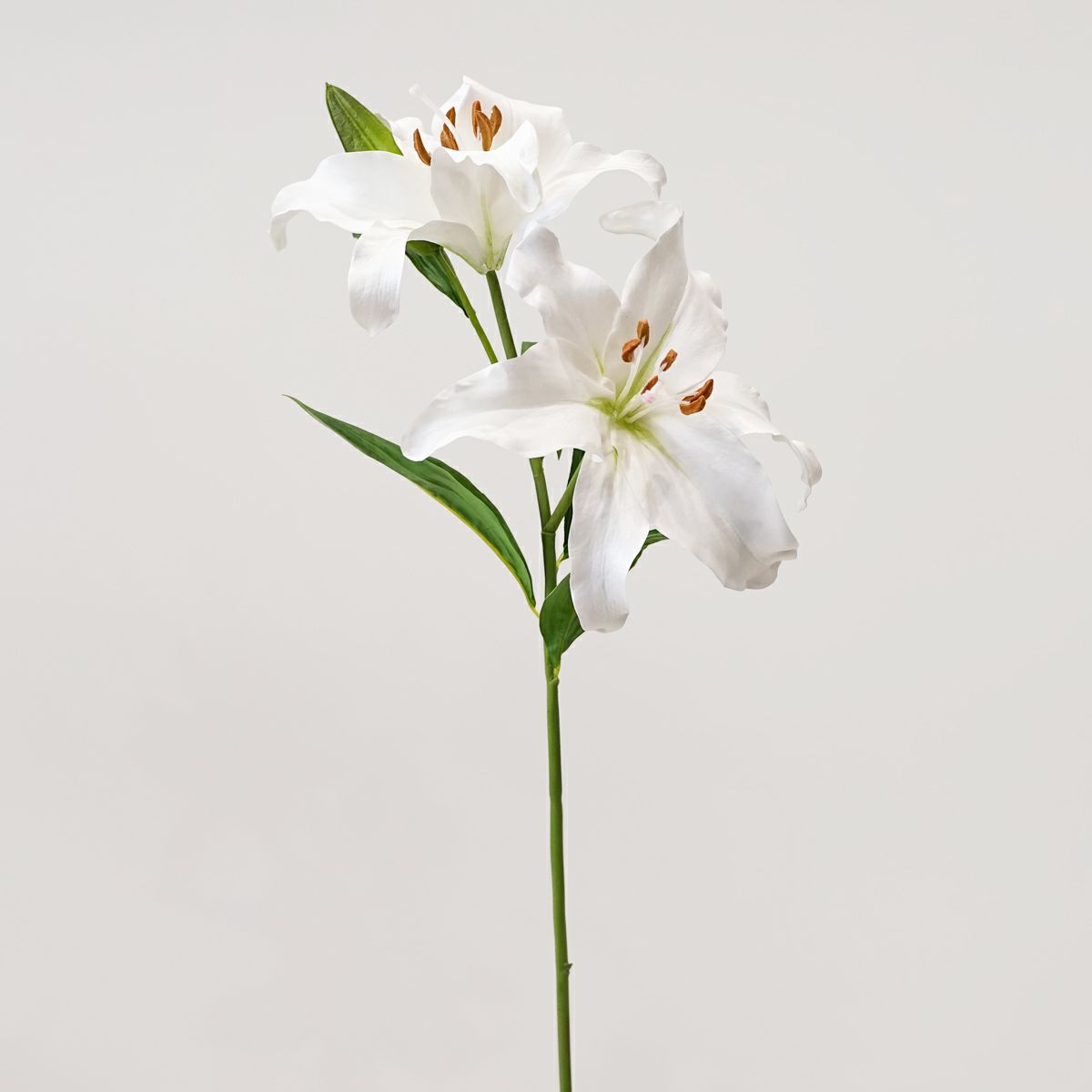 リリールブラン 全2色 H75cm 単品花材