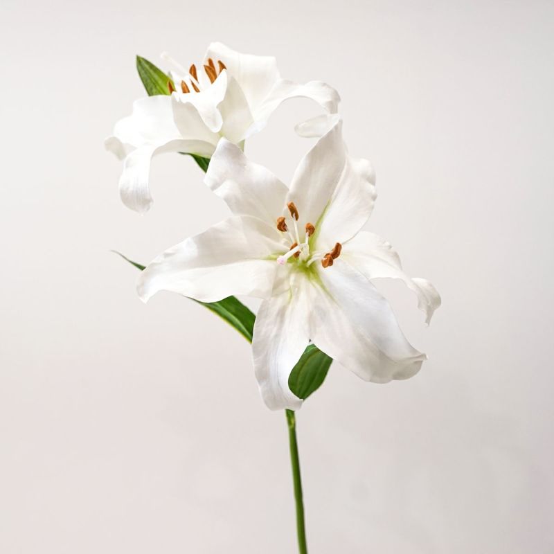 リリールブラン 全2色 H75cm 単品花材