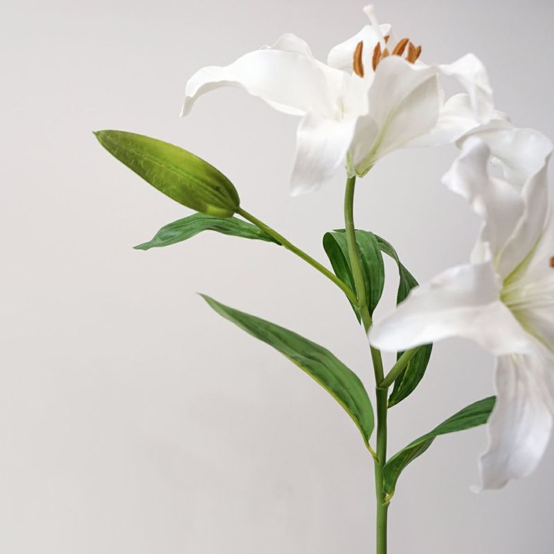 リリールブラン 全2色 H75cm 単品花材