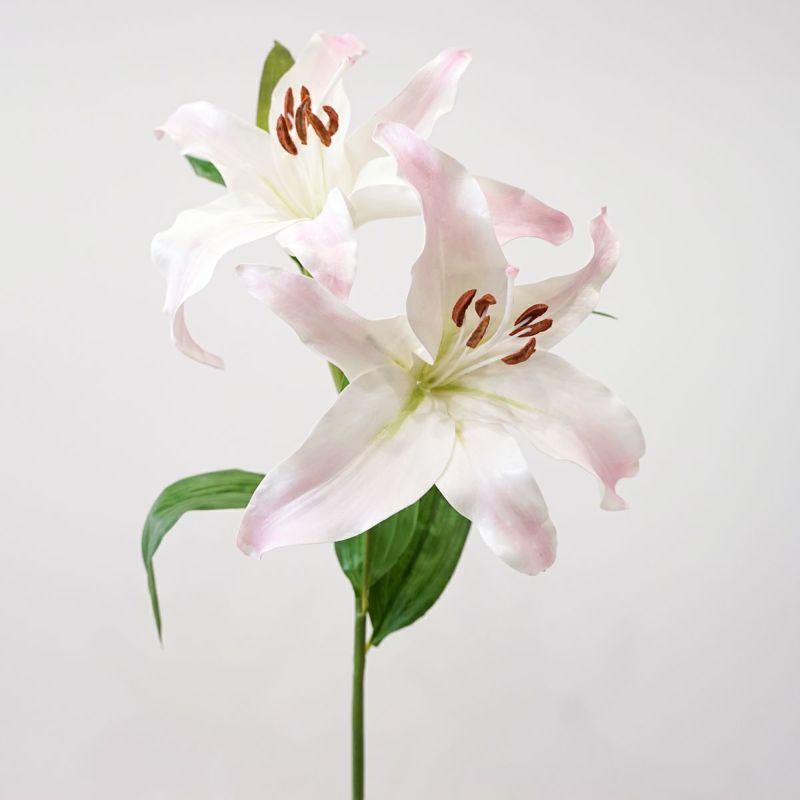 リリールブラン 全2色 H75cm 単品花材