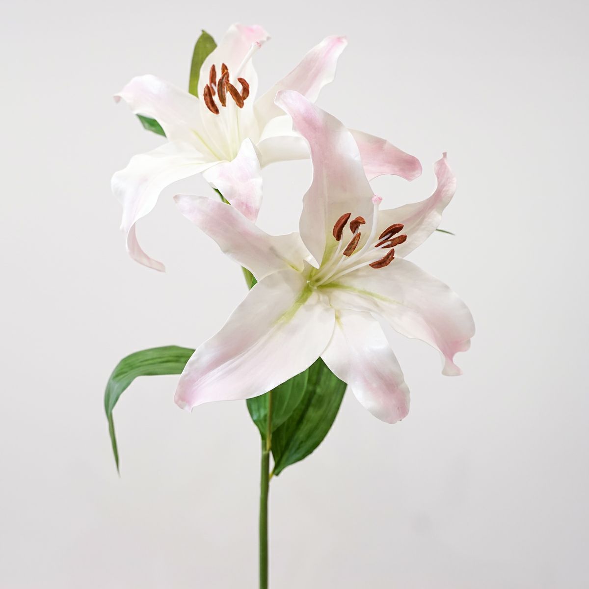 リリールブラン 全2色 H75cm 単品花材