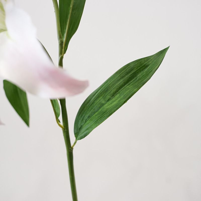 リリールブラン 全2色 H75cm 単品花材