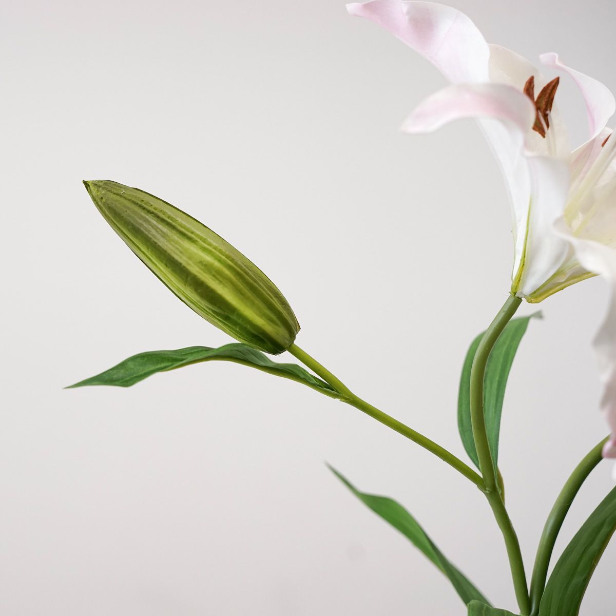 リリールブラン 全2色 H75cm 単品花材