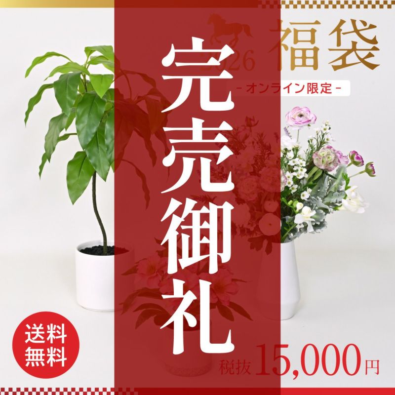 《数量限定》2026福袋[オンライン限定A]