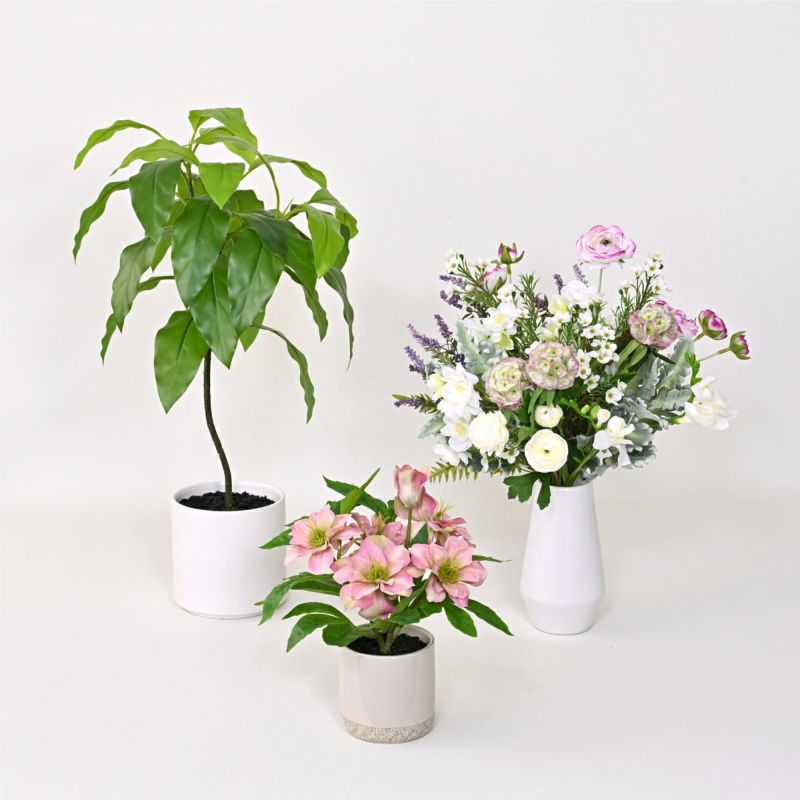 《数量限定》2026福袋[オンライン限定A]