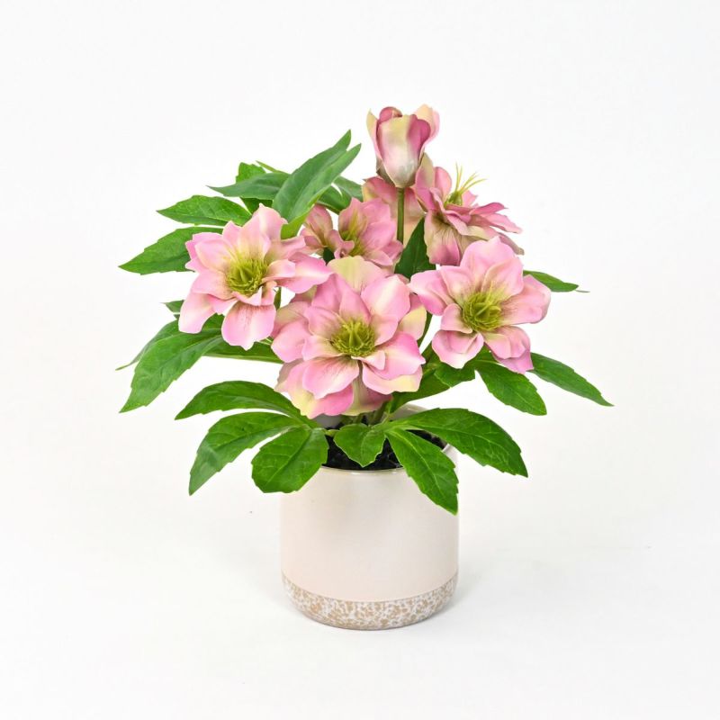 《数量限定》2026福袋[オンライン限定A]