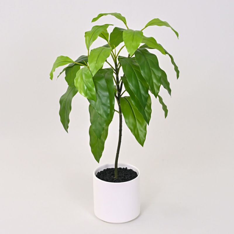 《数量限定》2026福袋[オンライン限定A]