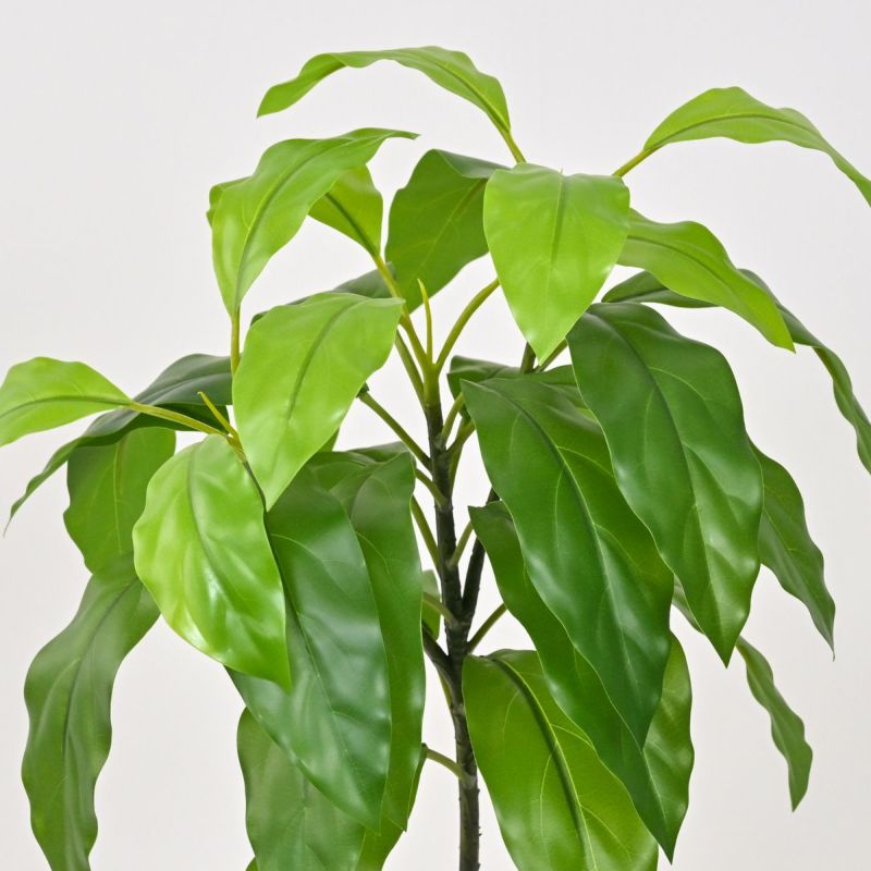 《数量限定》2026福袋[オンライン限定A]