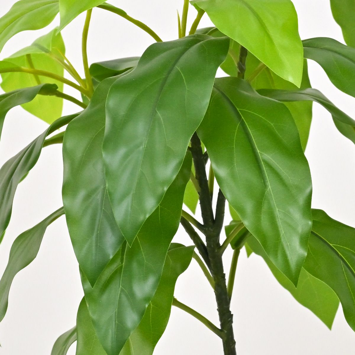 《数量限定》2026福袋[オンライン限定A]