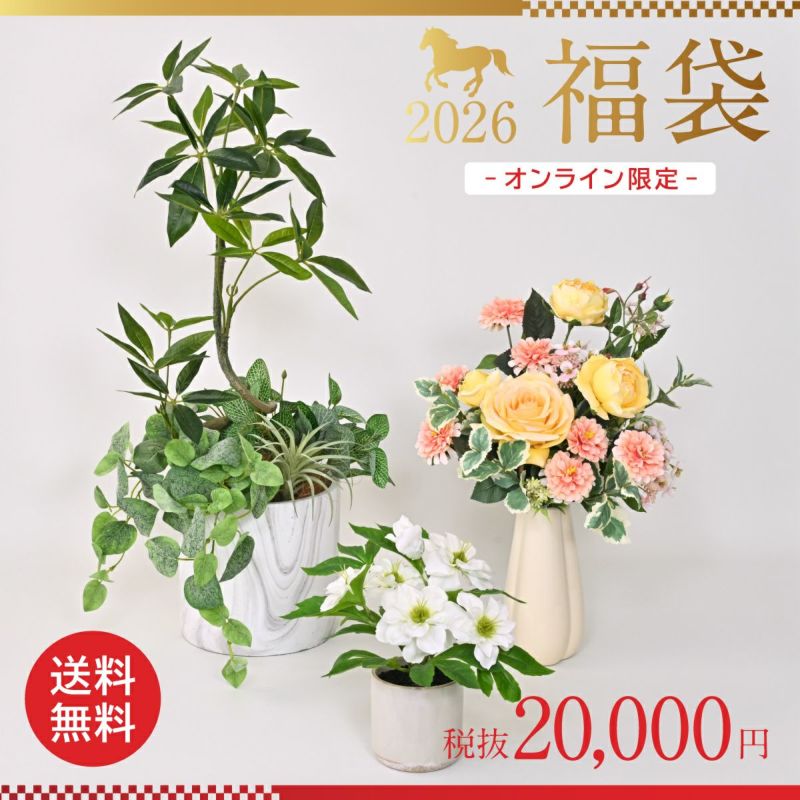 《数量限定》2026福袋[オンライン限定B]