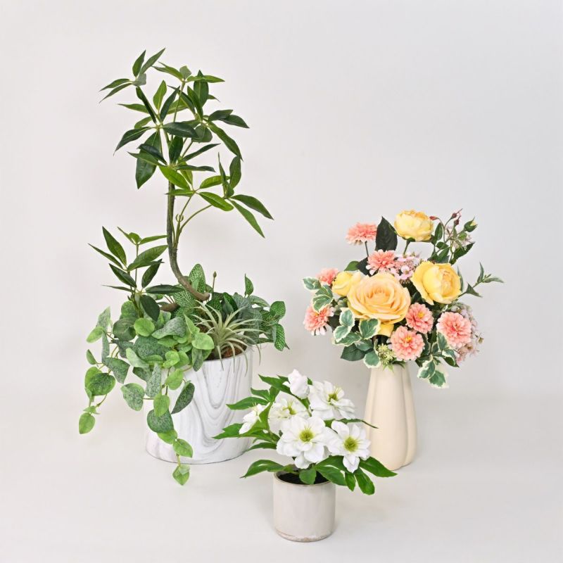 《数量限定》2026福袋[オンライン限定B]