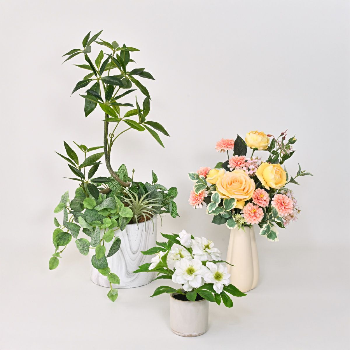 《数量限定》2026福袋[オンライン限定B]