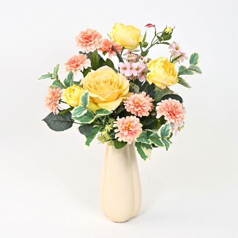 《数量限定》2026福袋[オンライン限定B]