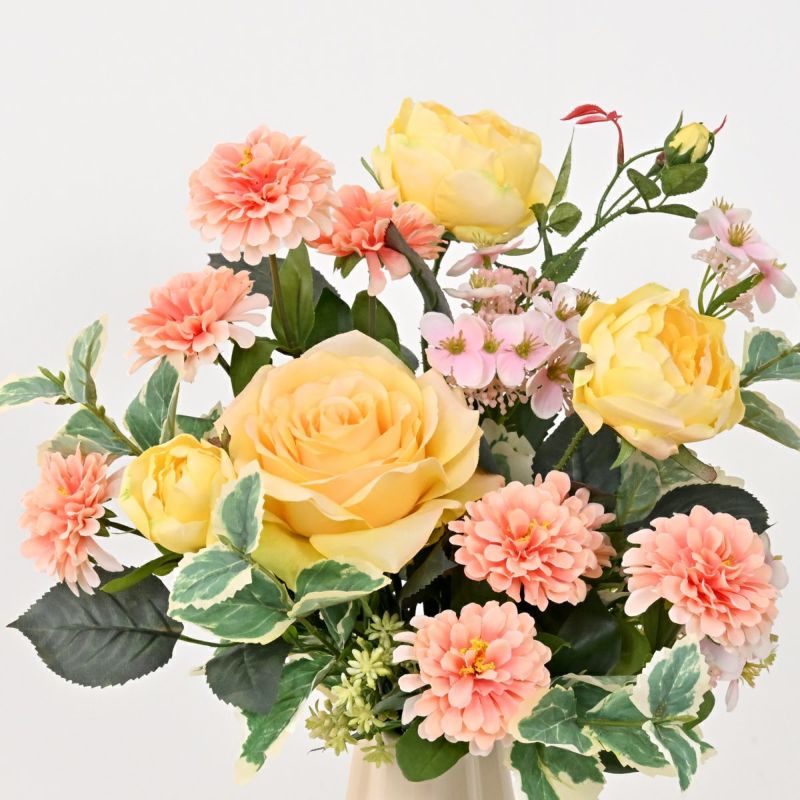 《数量限定》2026福袋[オンライン限定B]