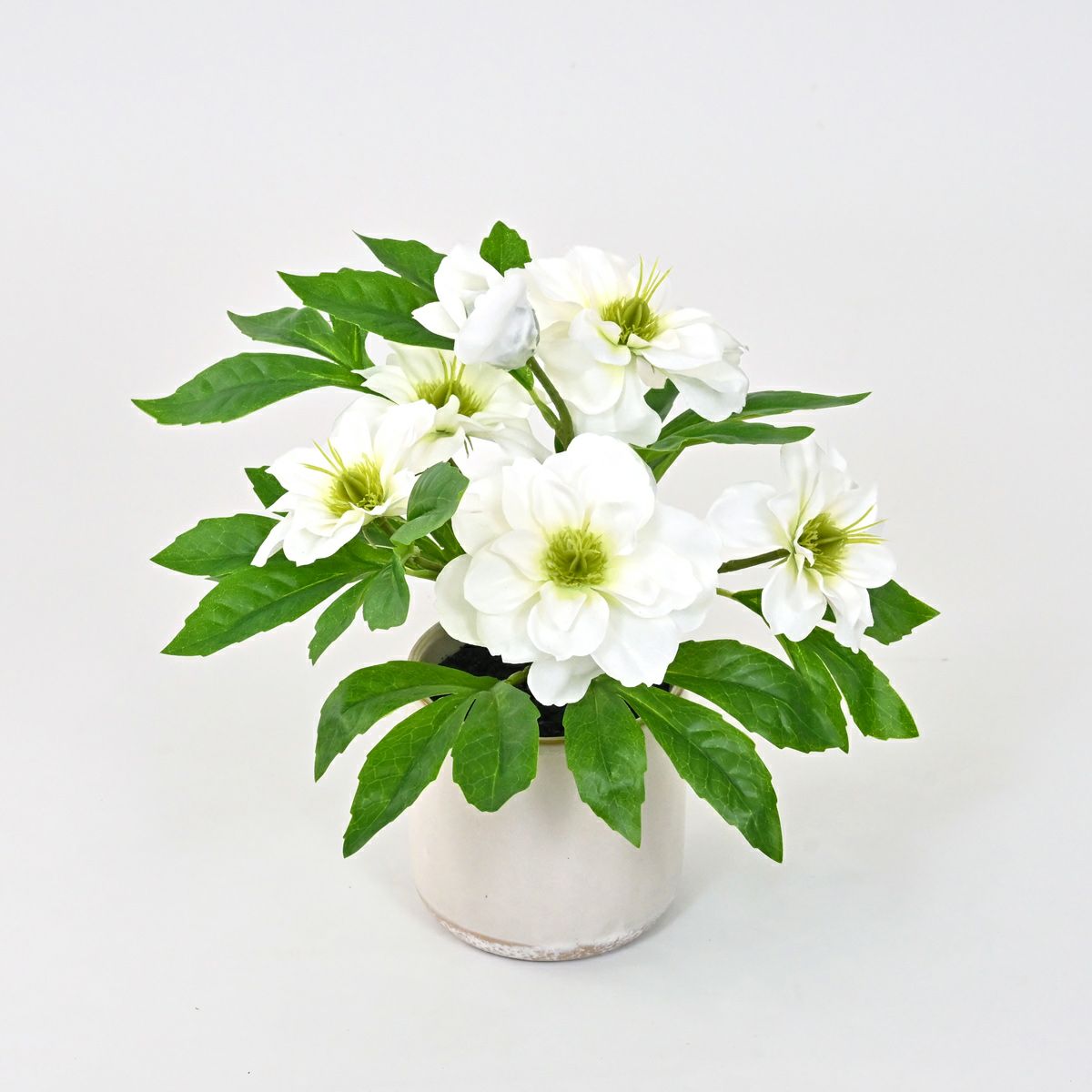 《数量限定》2026福袋[オンライン限定B]