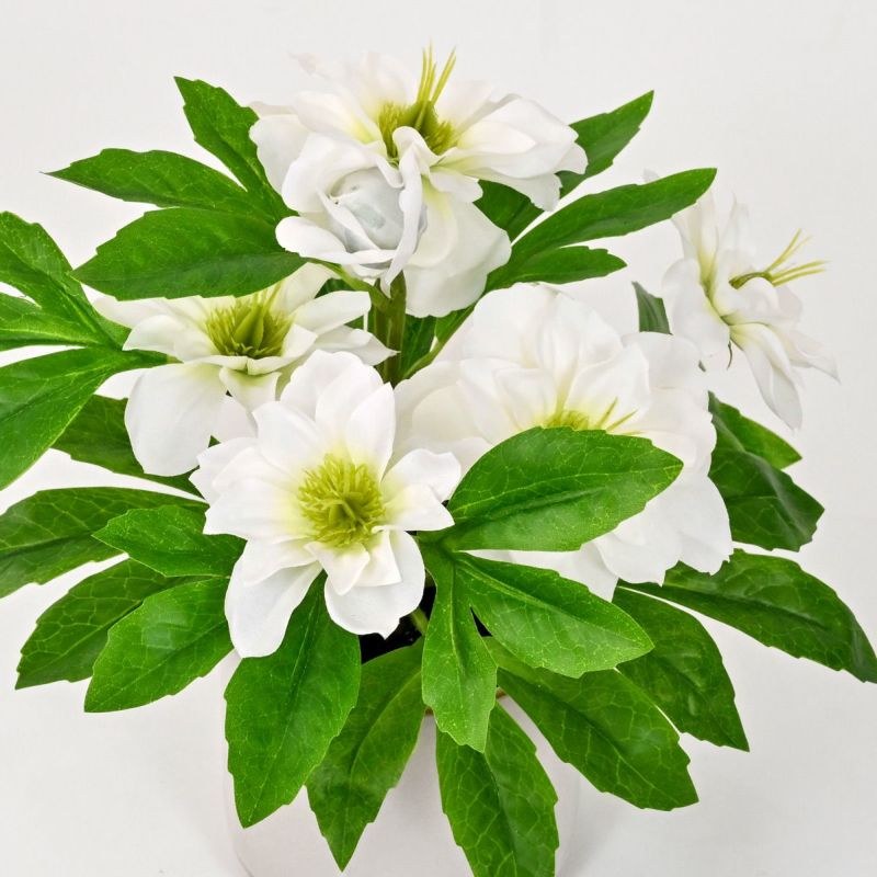 《数量限定》2026福袋[オンライン限定B]