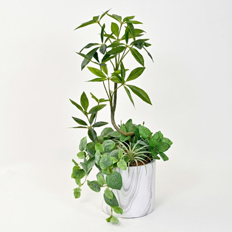 《数量限定》2026福袋[オンライン限定B]