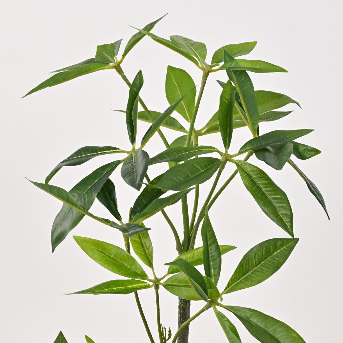 《数量限定》2026福袋[オンライン限定B]