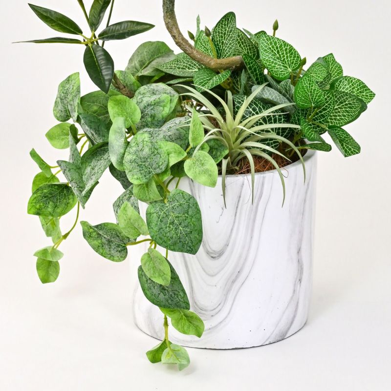 《数量限定》2026福袋[オンライン限定B]