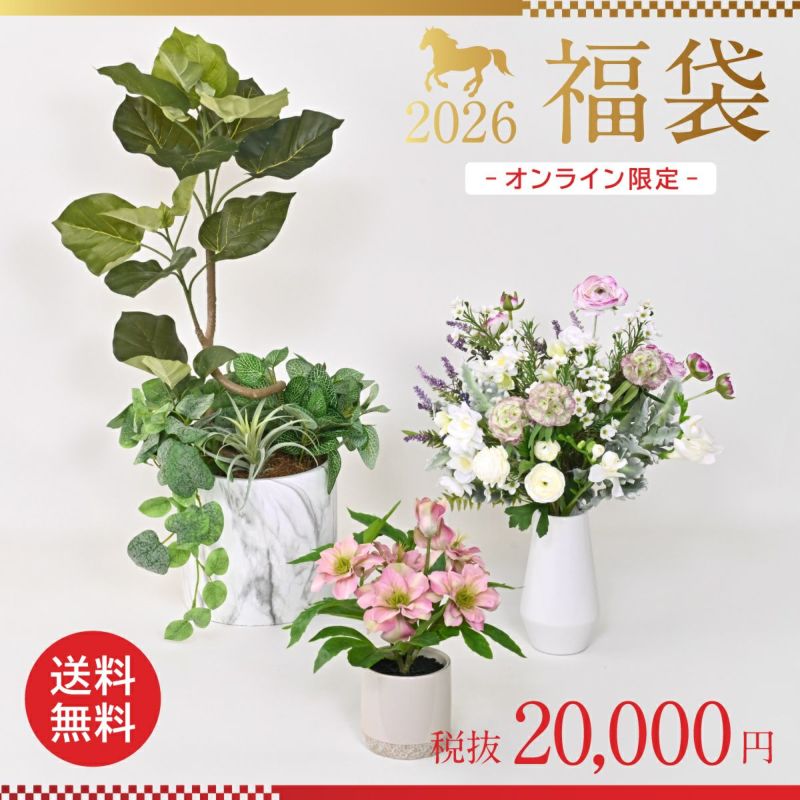 《数量限定》2026福袋[オンライン限定C]