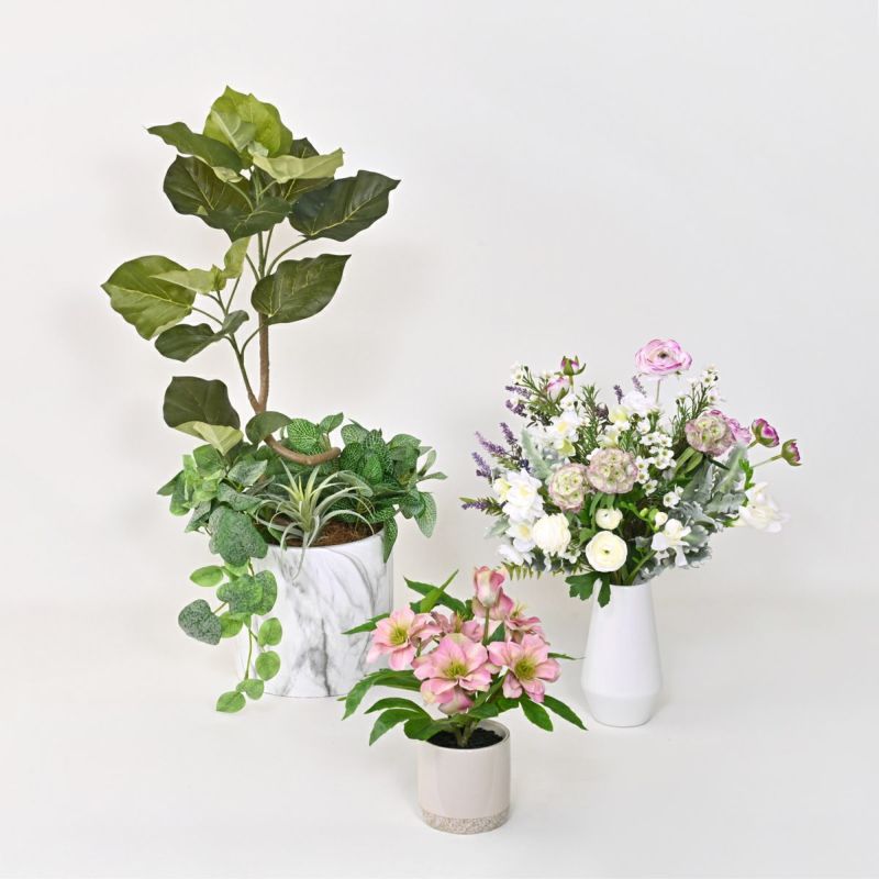 《数量限定》2026福袋[オンライン限定C]