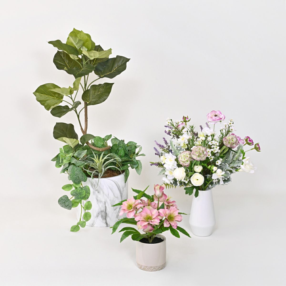 《数量限定》2026福袋[オンライン限定C]