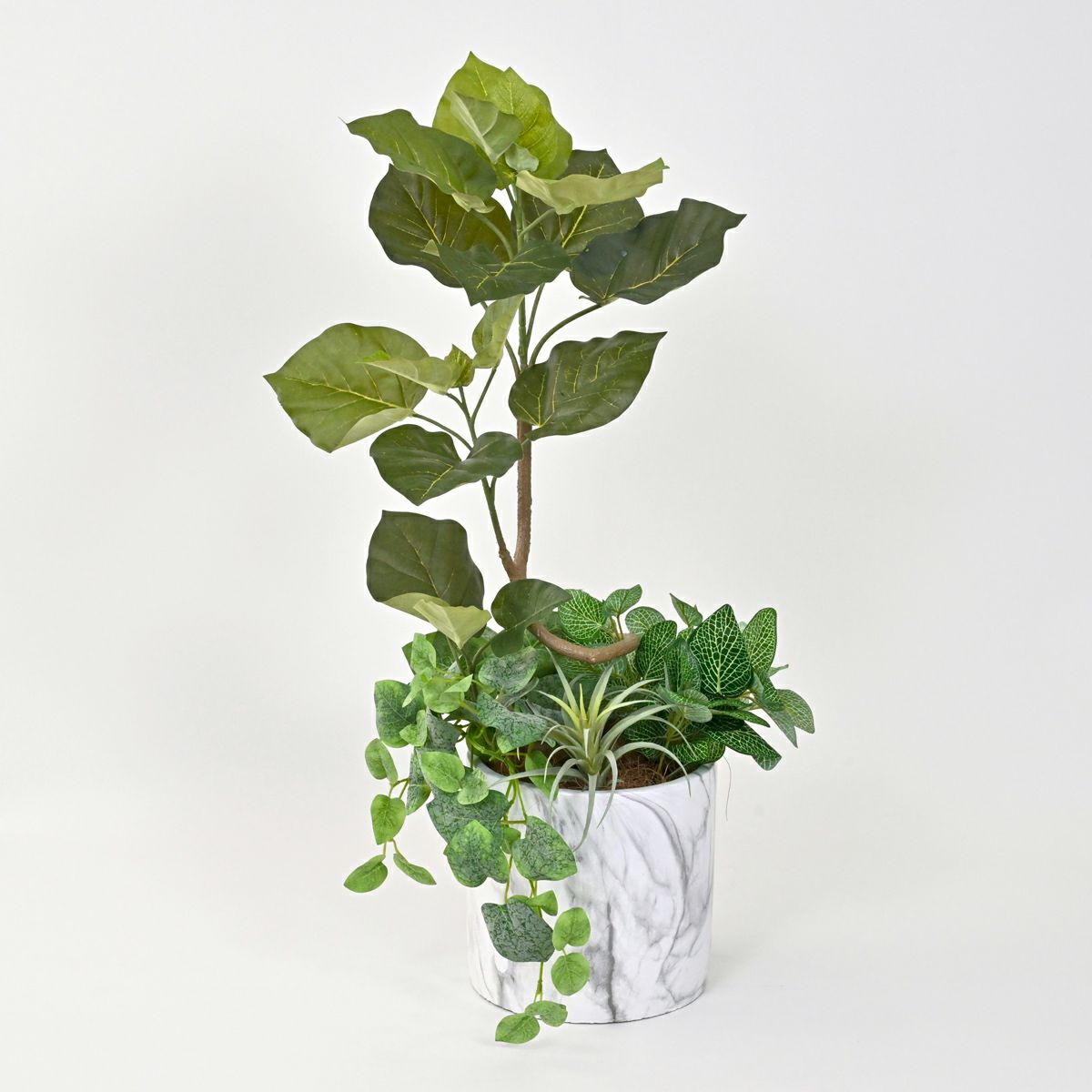 《数量限定》2026福袋[オンライン限定C]